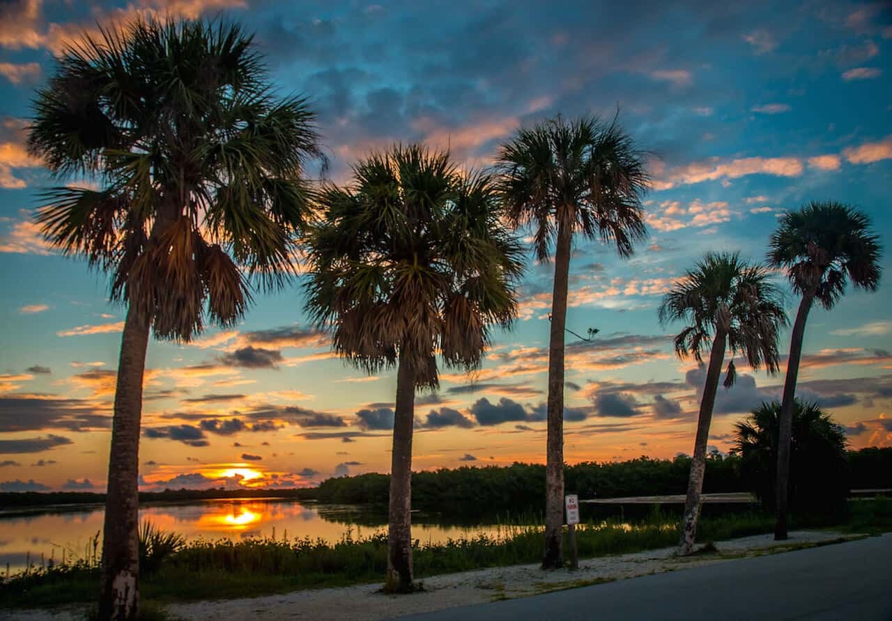 Palm trees at sunset over the water — Southwest Florida